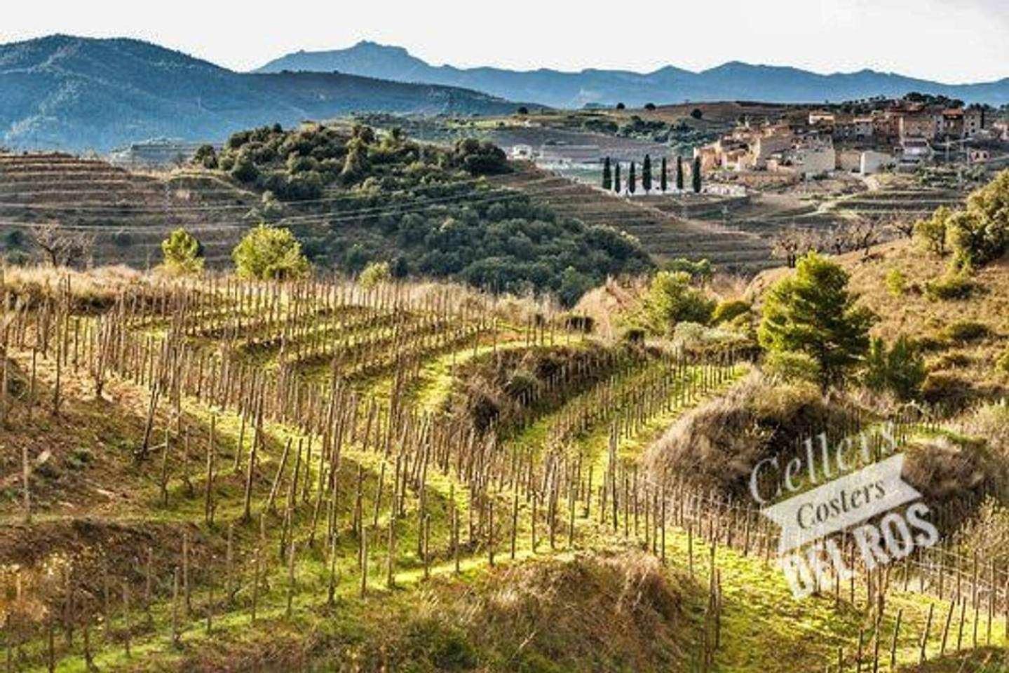 Ca Laixut Turismo Rural Gratallops Εξωτερικό φωτογραφία